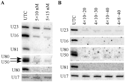 Figure 10.