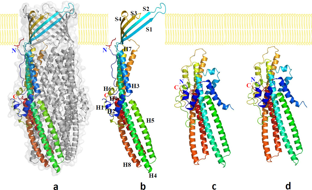 Fig. 1