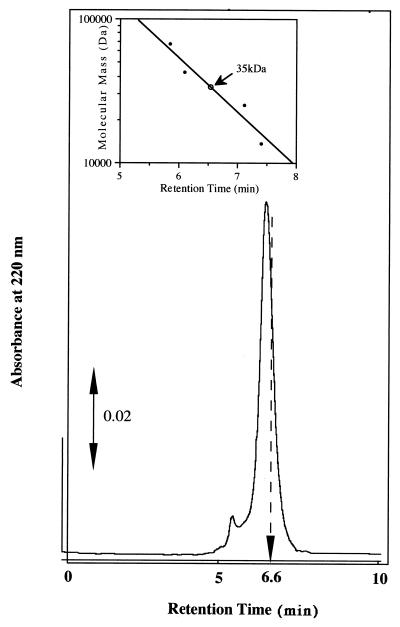 FIG. 1