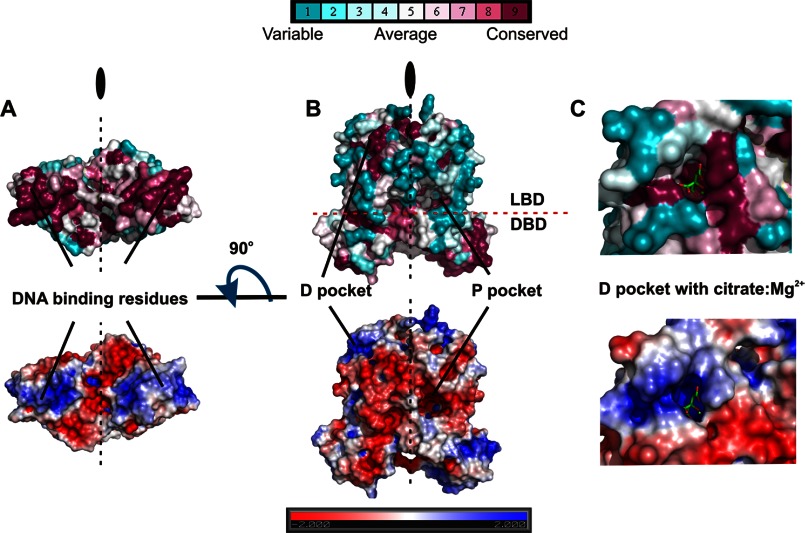 FIGURE 4.