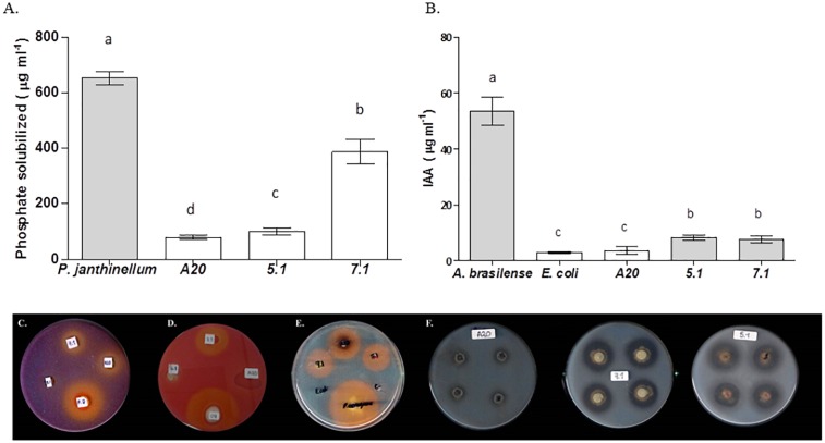 FIGURE 3