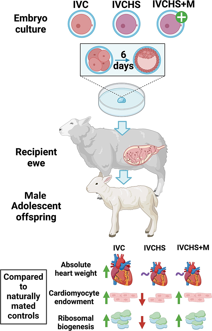 Unlabelled Image