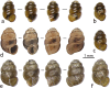 Fig. 4