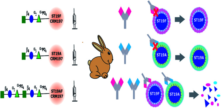 graphic file with name d0sc02230f-ga.jpg