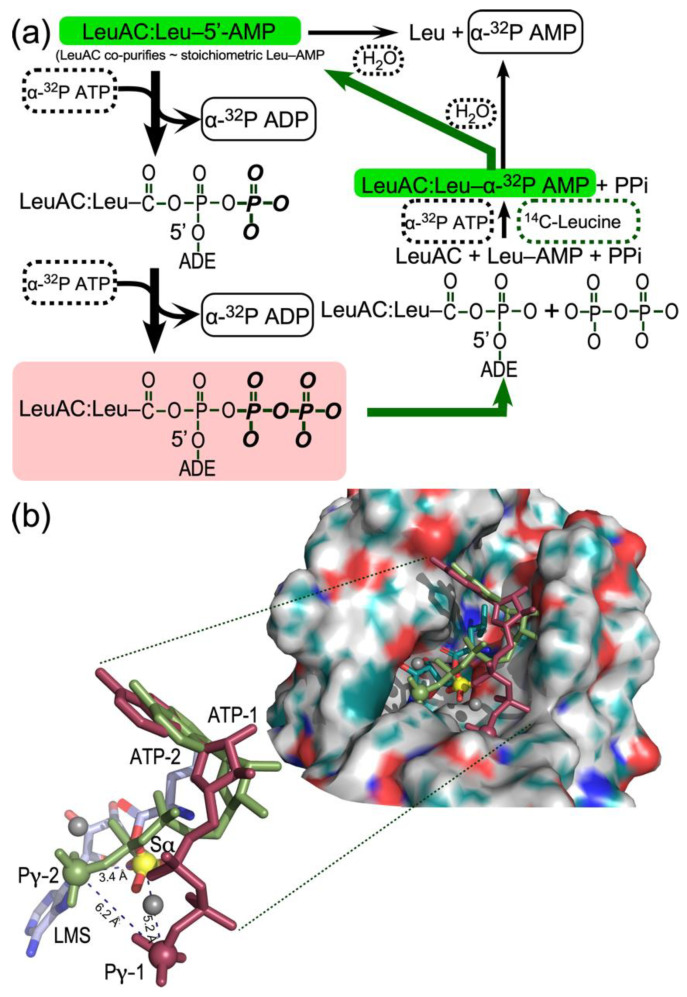 Figure 9