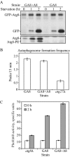 Figure 6.