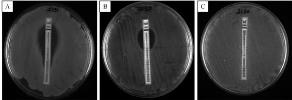 Fig.2