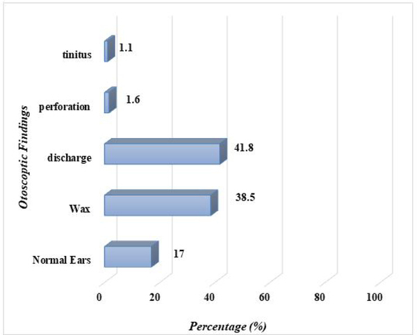 Figure 1: