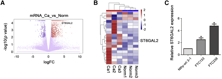 Figure 1