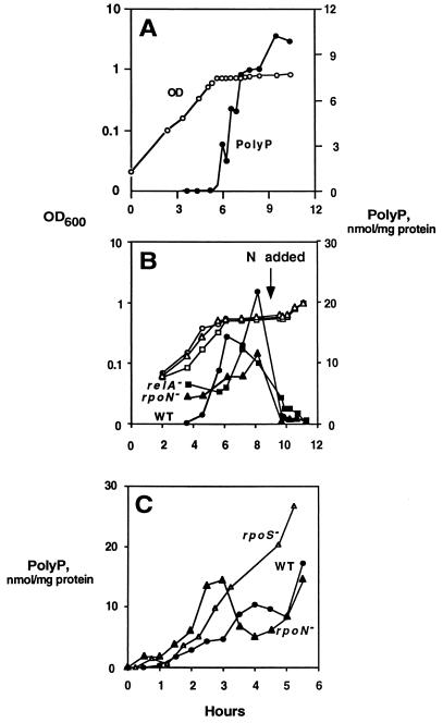 FIG. 5