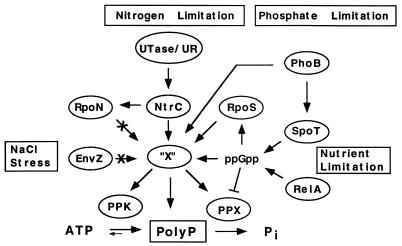 FIG. 6