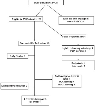 Flow Chart 1