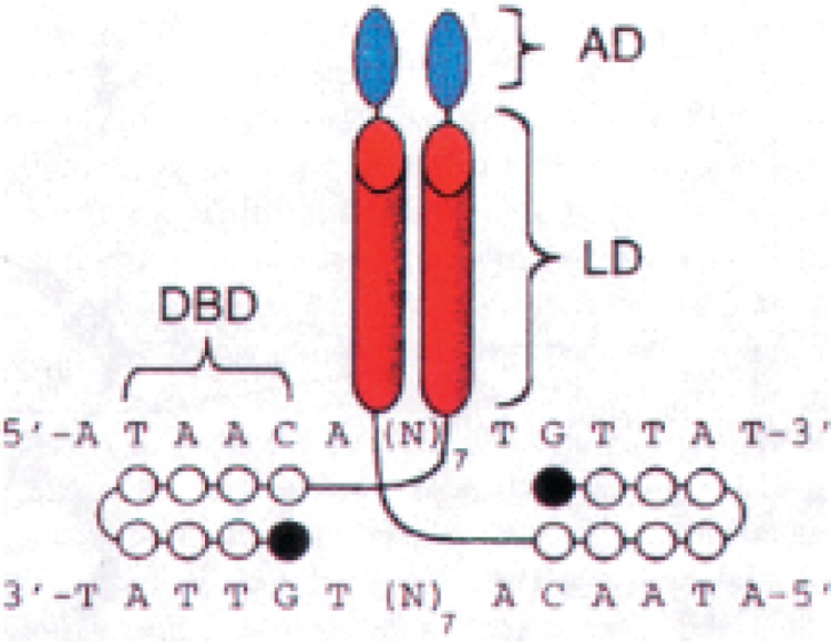 Figure 8