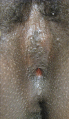 <b>FIG. 2.</b>