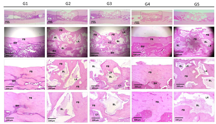 Figure 11.