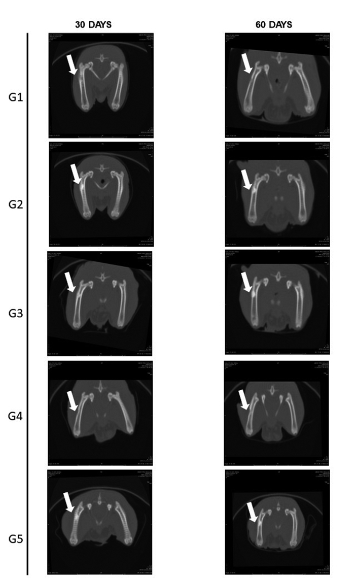 Figure 6.