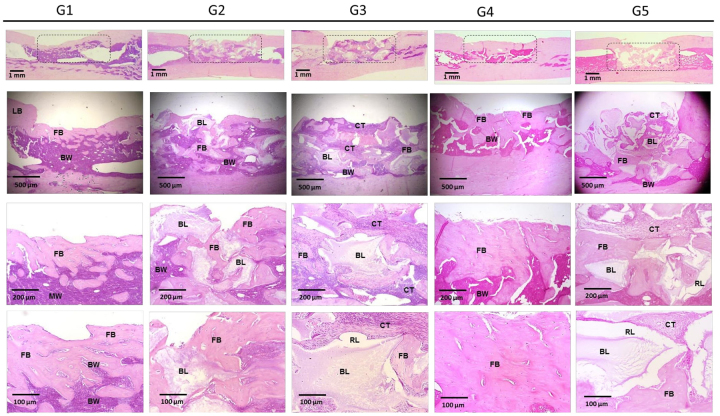 Figure 10.