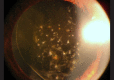 Figure 3b