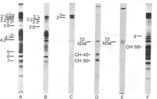 graphic file with name pnas00005-0259-a.jpg