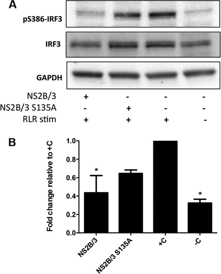 FIG 3