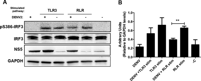 FIG 1