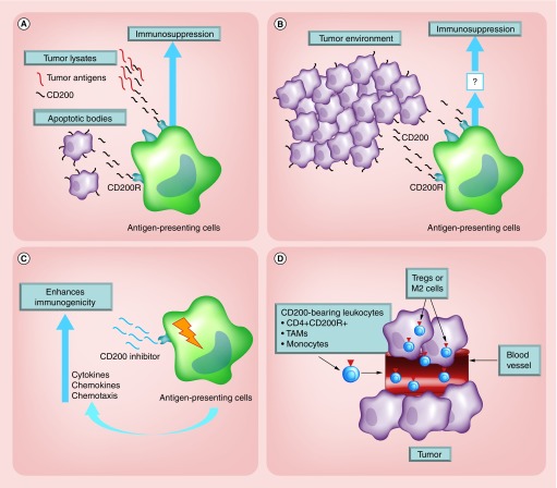 Figure 10. 