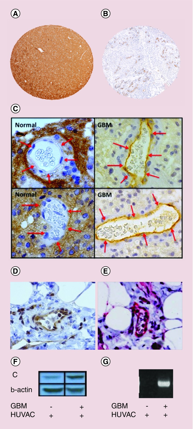 Figure 9. 