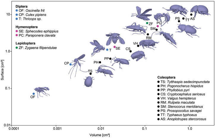 Figure 17.