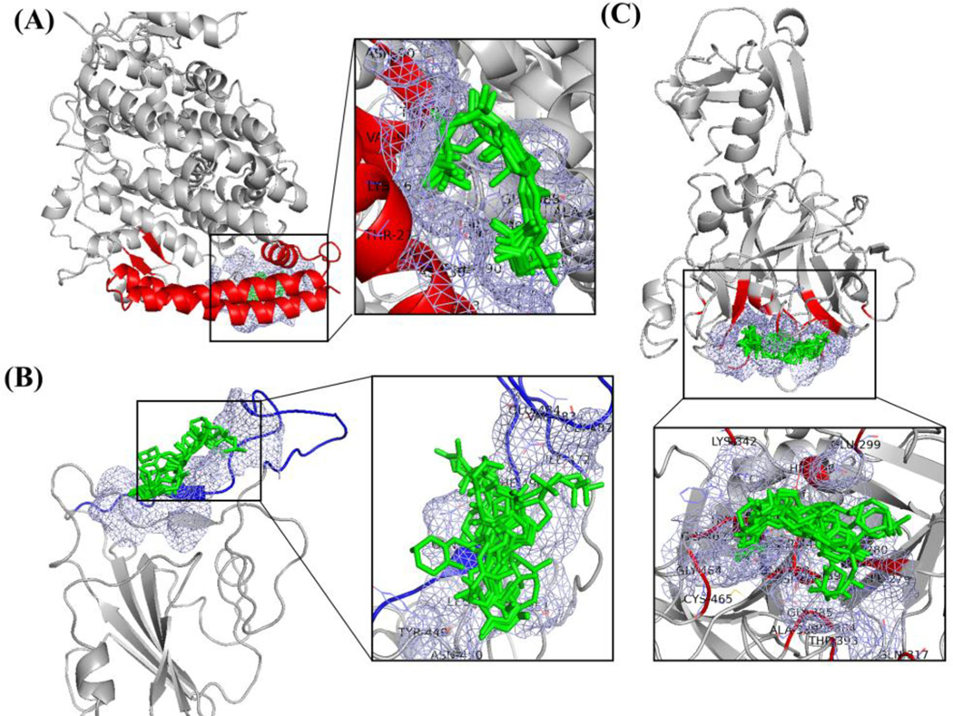 Figure 3.