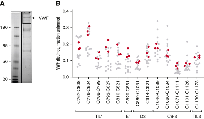 Figure 3.