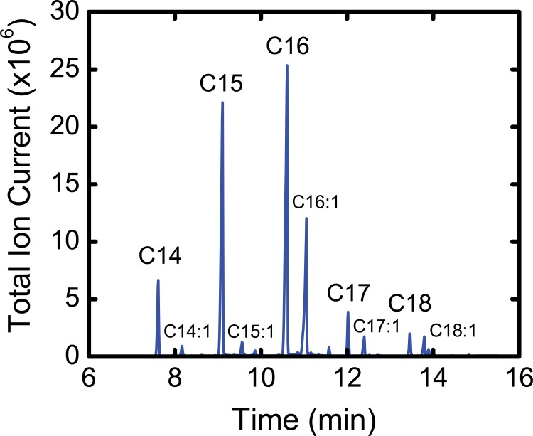 Fig 5