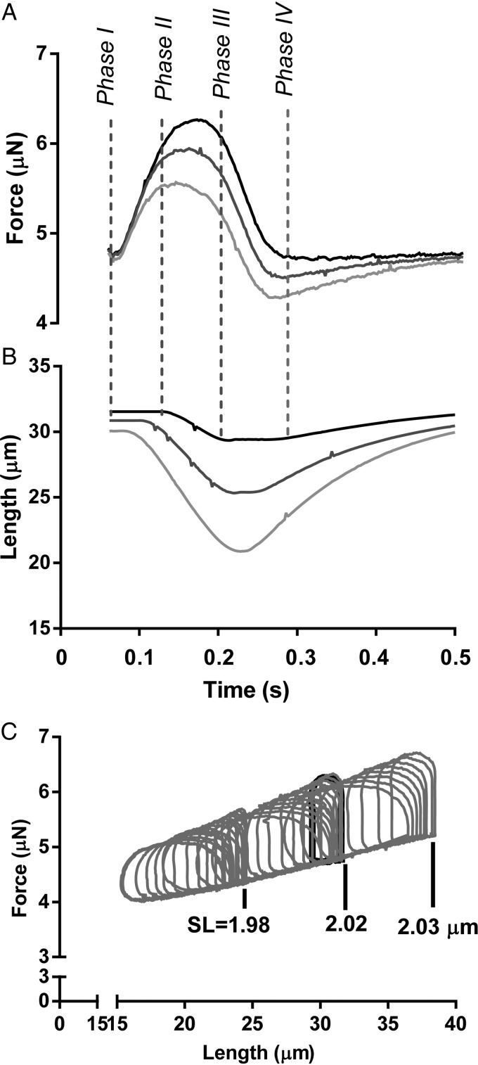 Figure 2