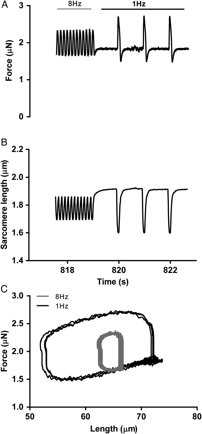 Figure 5