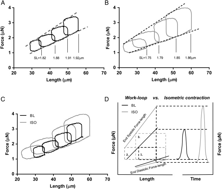 Figure 4