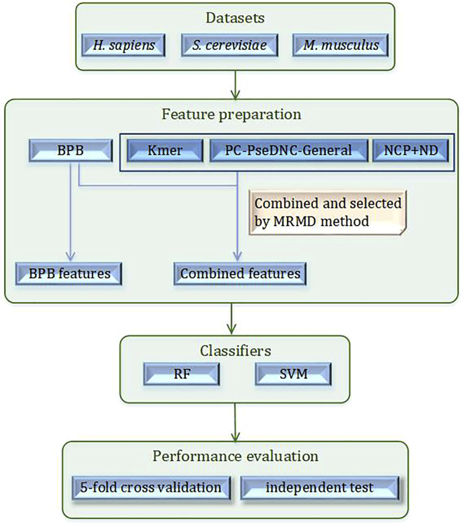 Figure 1