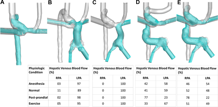 Figure 3