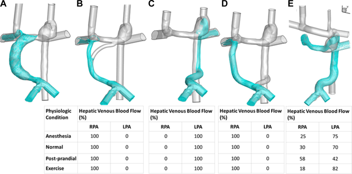 Figure 4