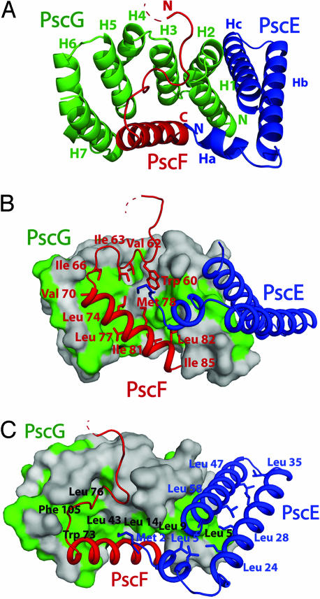 Fig. 2.