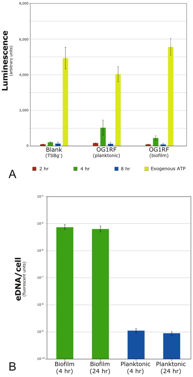 FIG 5 