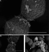 FIG 3