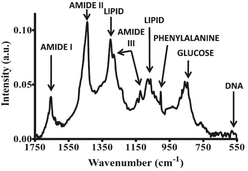 Fig. 1