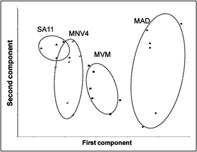 Fig. 6