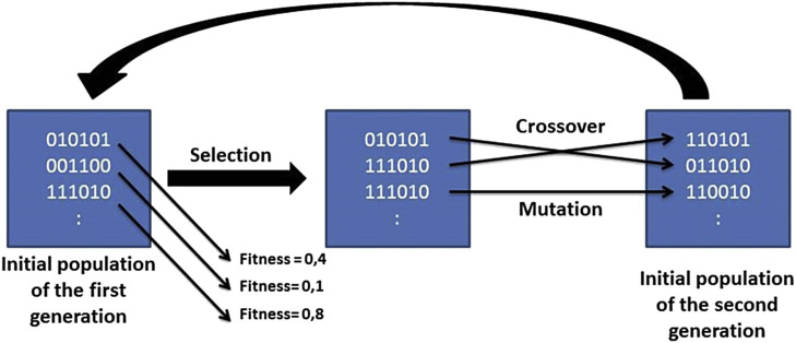 Fig. 12