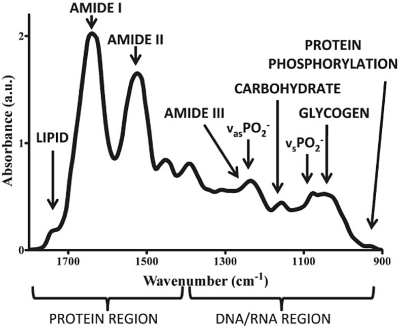 Fig. 2