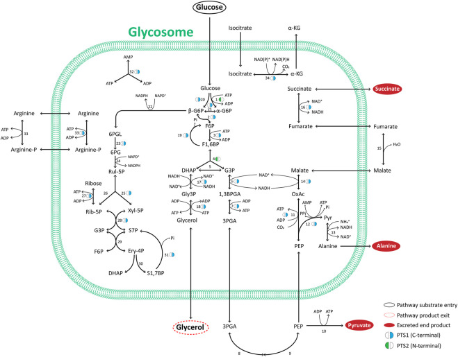 FIGURE 2