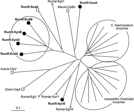 FIG. 9.