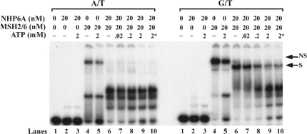 Figure 6.