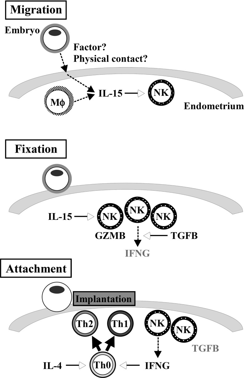 Fig. 5.