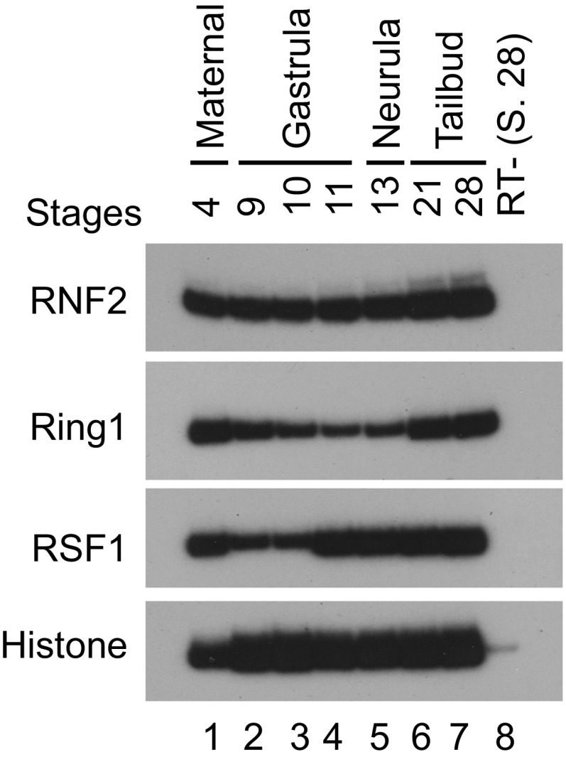 Fig. S6.