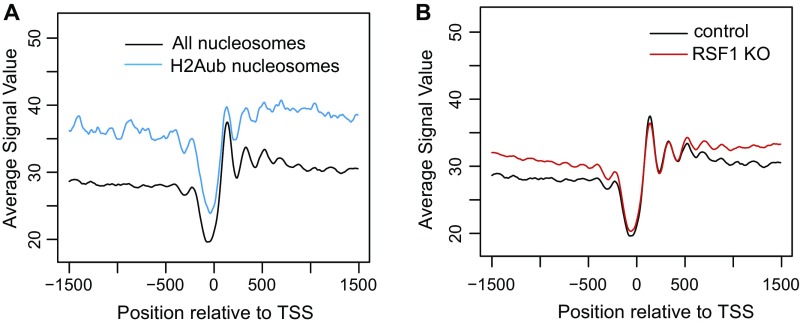 Fig. S5.